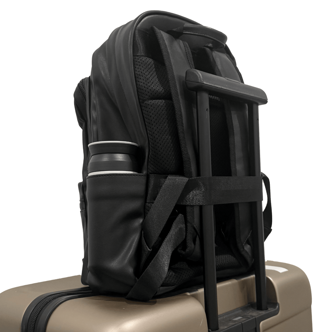 Luggage strap